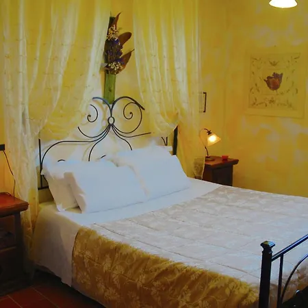 Fiori Casa vacanze Città della Pieve